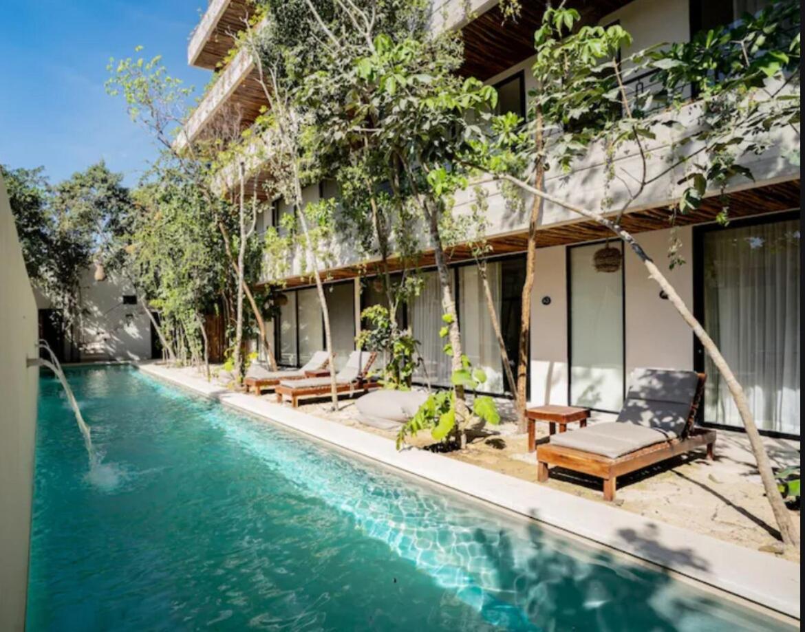 Ph W Sunrises And Jungle View Digital Nomads Near Holistika Tulum