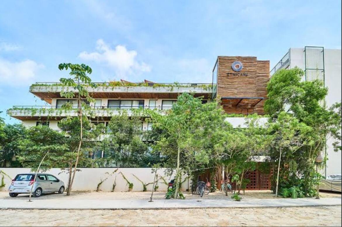 Apartment Ph W Sunrises And Jungle View Digital Nomads Near Holistika Tulum