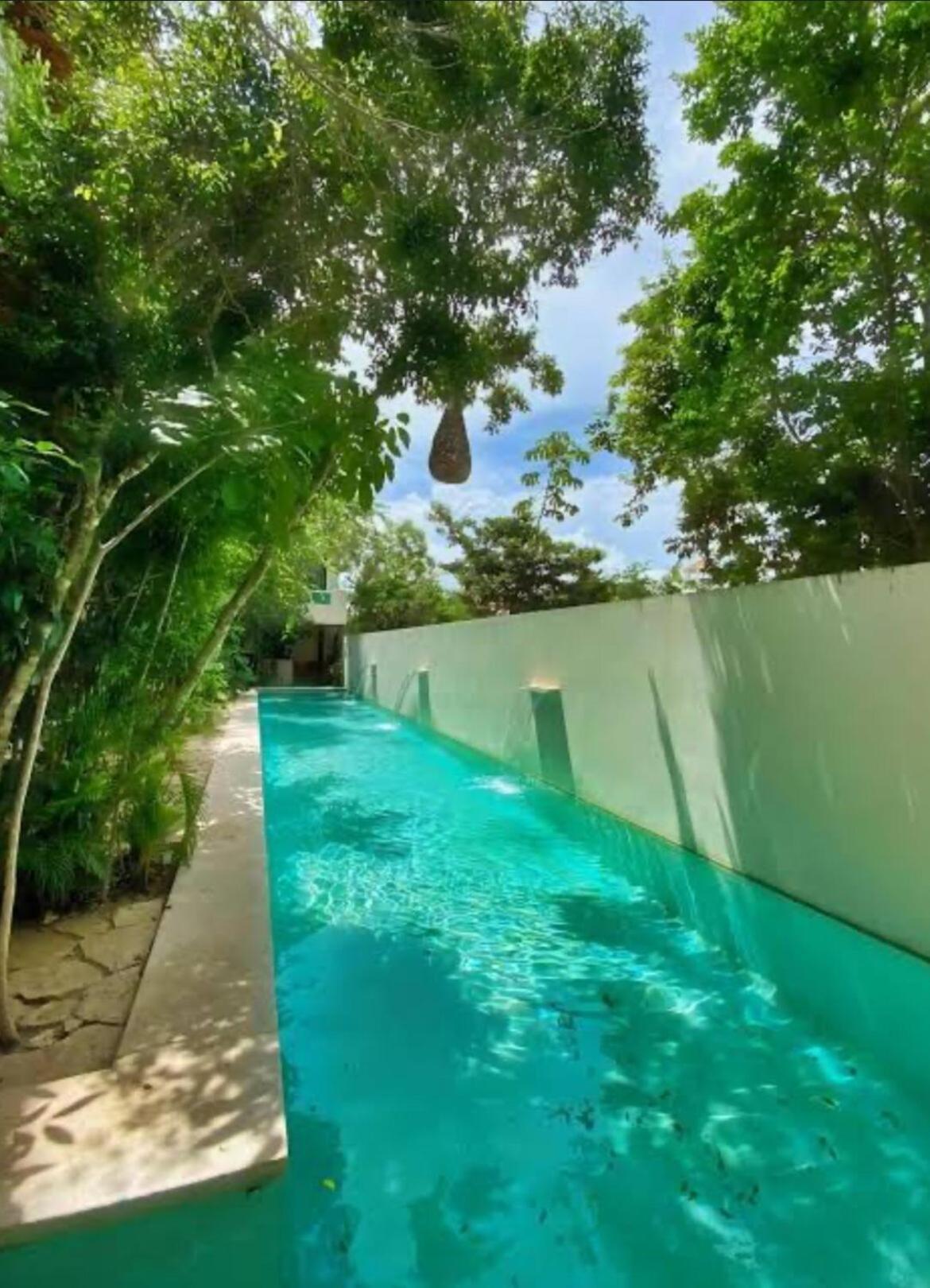 Ph W Sunrises And Jungle View Digital Nomads Near Holistika Tulum